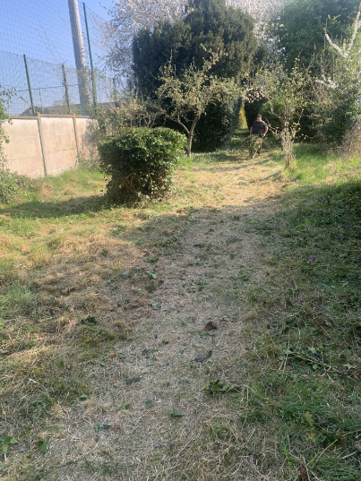 debroussaillage
