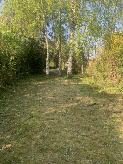 nettoyage-d-un-terrain