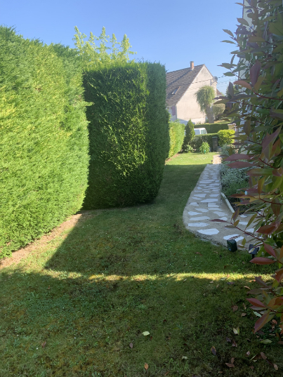 taille de haies